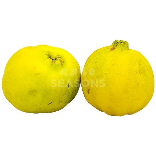 Quince