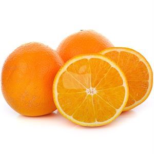 Oranges Navel