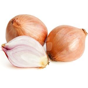 Onion Shallots