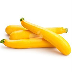 Squash Yellow