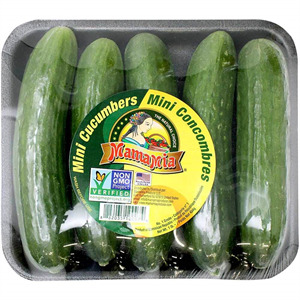 Mamamia Mini Cucumber